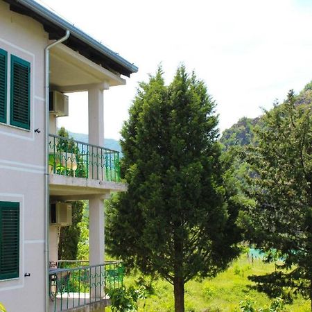 Agroturizem Hotel Vila Franceze Koman エクステリア 写真