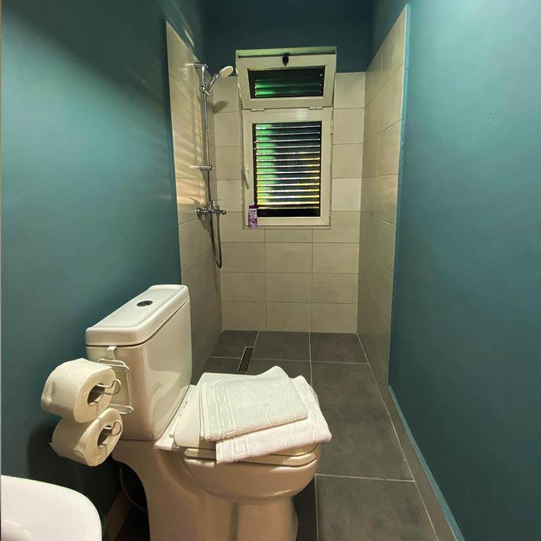 Agroturizem Hotel Vila Franceze Koman エクステリア 写真