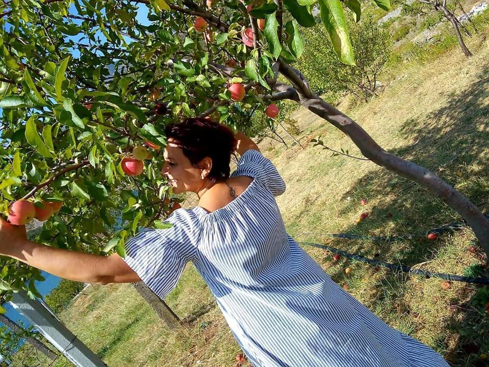 Agroturizem Hotel Vila Franceze Koman エクステリア 写真