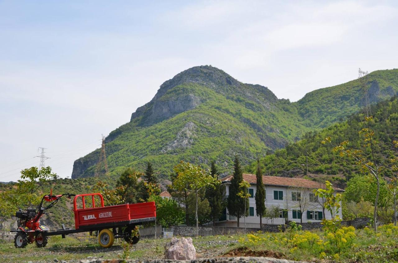Agroturizem Hotel Vila Franceze Koman エクステリア 写真