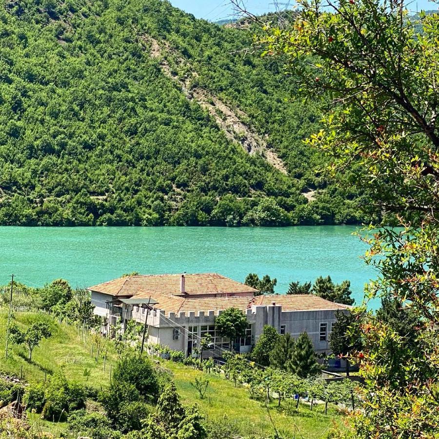 Agroturizem Hotel Vila Franceze Koman エクステリア 写真